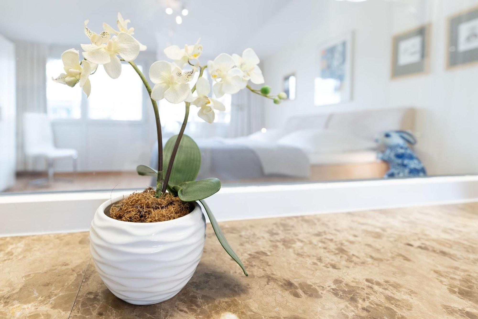 Haus Eva Mar Am Meer Appartement 1 Тіммендорфер-Штранд Екстер'єр фото